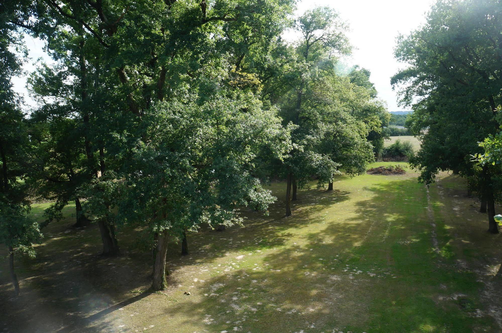 Aireco Hotell Cazères-sur-lʼAdour Exteriör bild
